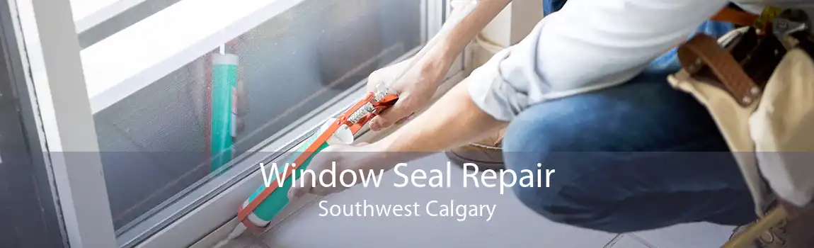 Window Seal Repair Southwest Calgary