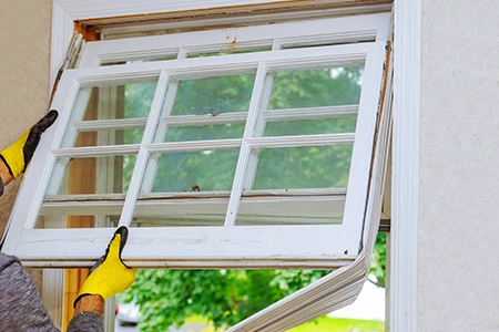 Window Replacement in Southwest Calgary